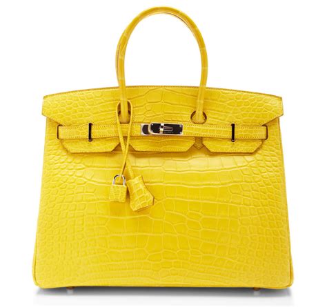 hermes bag protector|borse hermes donna.